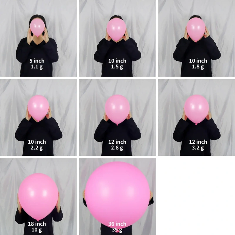 Inflated 5 10 12 18 and 36 inch matte latex balloon size comparison
